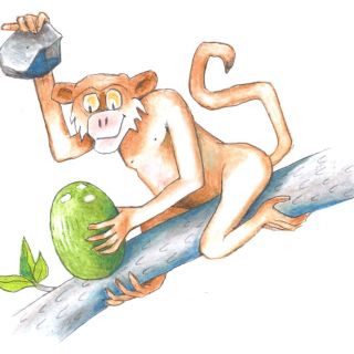Illustrasjonstegning av ape
