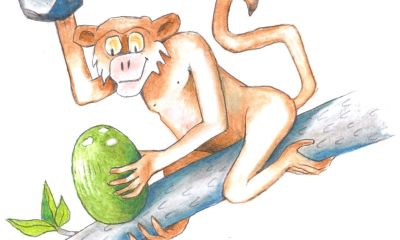 Illustrasjonstegning av ape