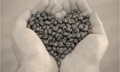 Illustrasjonsbilde av hender som holder kaffebønner med form som hjerte